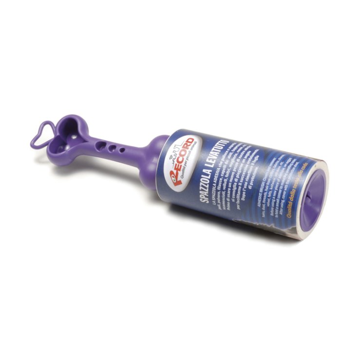 SPAZZOLA ADESIVA 10MT