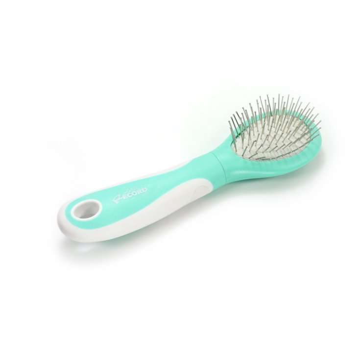 RECORD HAIRMONY SPAZZOLA PNEUMATICA S/M