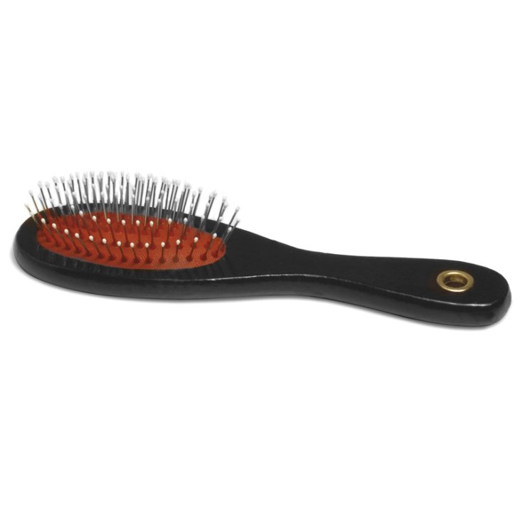 RECORD SPAZZOLA CON PUNTE M 21X6 CM 40 G