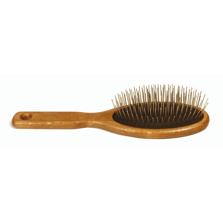 RECORD SPAZZOLA PUNTE ACCIAIO L 21X6 CM