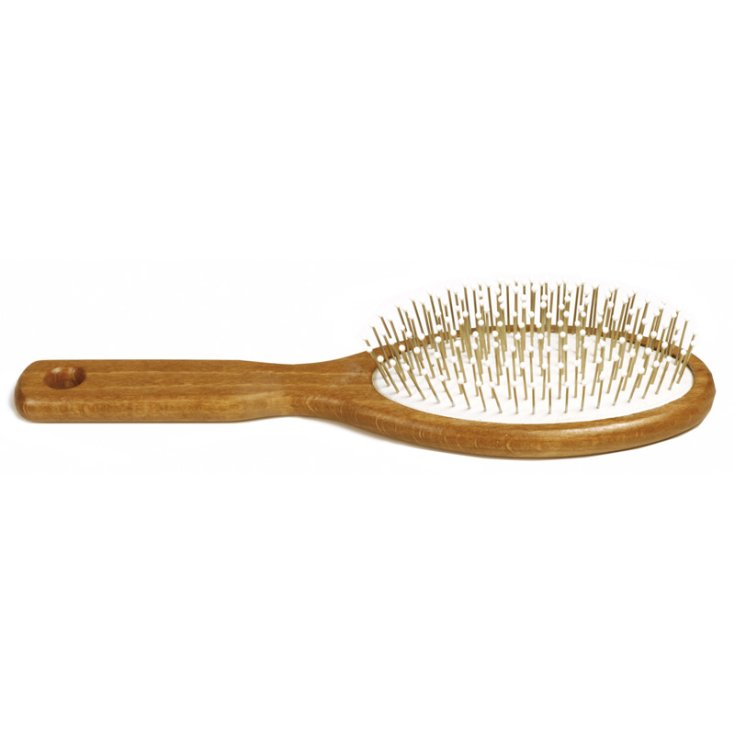 RECORD SPAZZOLE PUNTE SALVAPELO L 21 CM