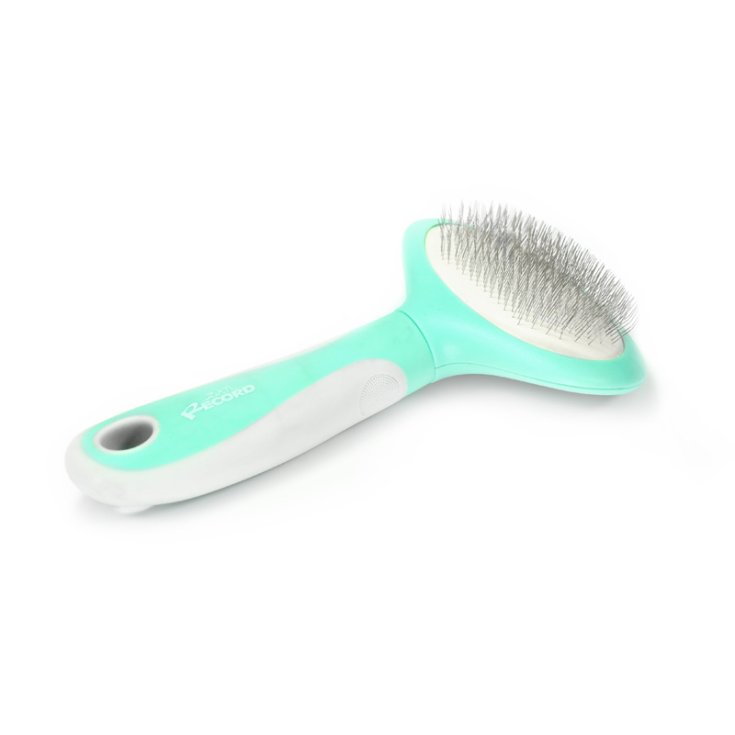 RECORD HAIRMONY CARDATORE OVALE S 8.5X17