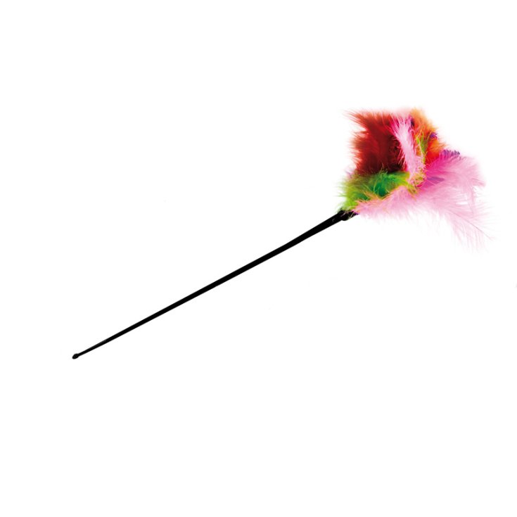 RECORD STUZZICAGATTO DI PIUME MULTICOLOR
