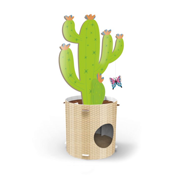 RECORD TIRAGRAFFI IN CARTONE - CACTUS 35