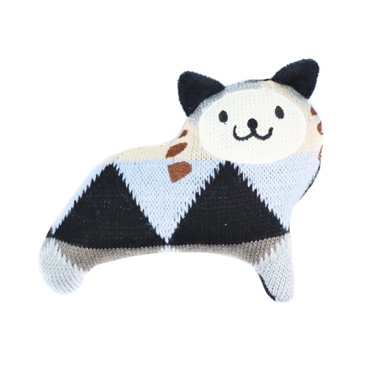 RECORD GIOCO CANE GATTO IN MAGLIA DORA B