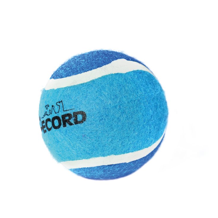 RECORD TENNIS FUN PALLA DA TENNIS AZZURR