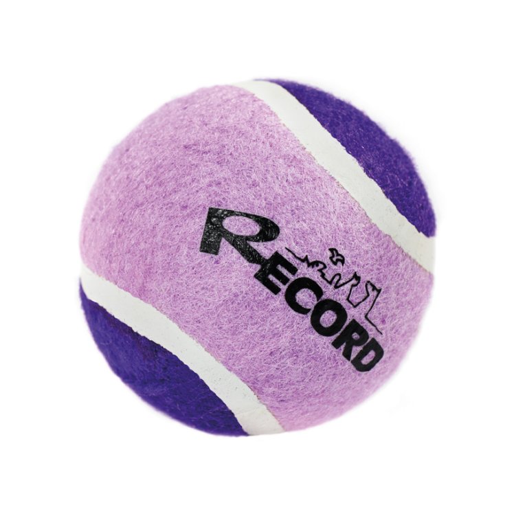 RECORD TENNIS FUN PALLA DA TENNIS VIOLA