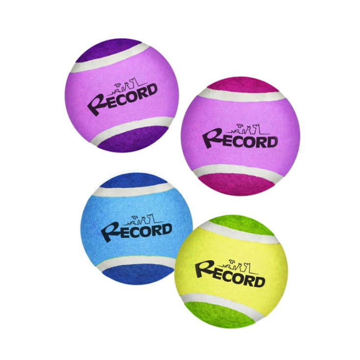 RECORD TENNIS FUN 4 PALLE DA TENNIS VIOL