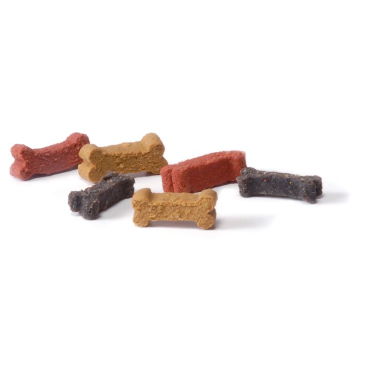 SANAL BOCCONCINI COACHY BONES PER CANI 1