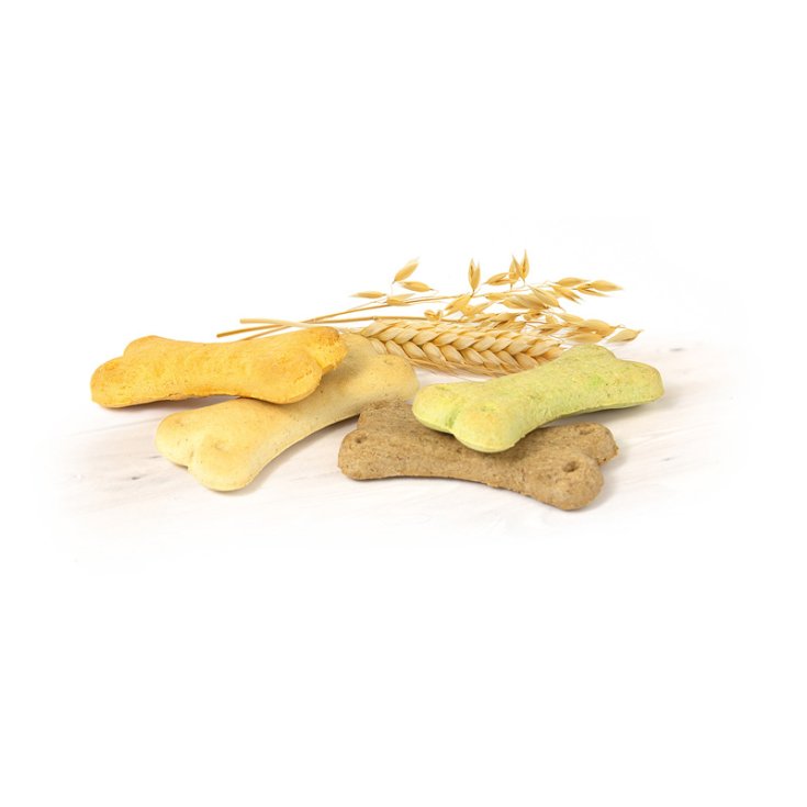 RECORD BISCODOG BISCOTTI CANE MIX BABY 4