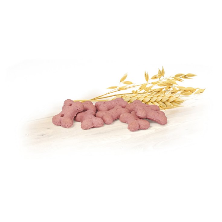 RECORD BISCODOG BISCOTTI CANE FRUTTI DI