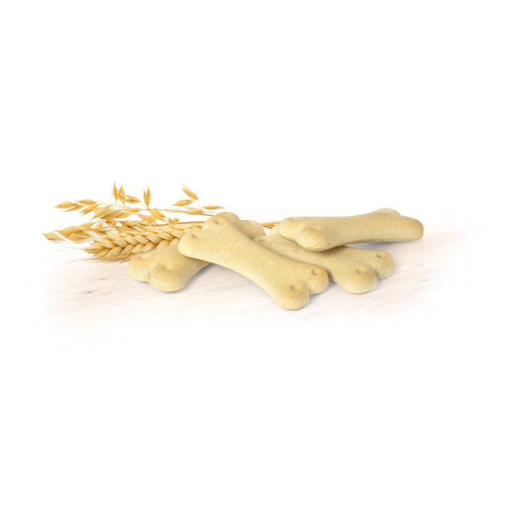 RECORD BISCODOG BISCOTTI CANE CLASSICI 1
