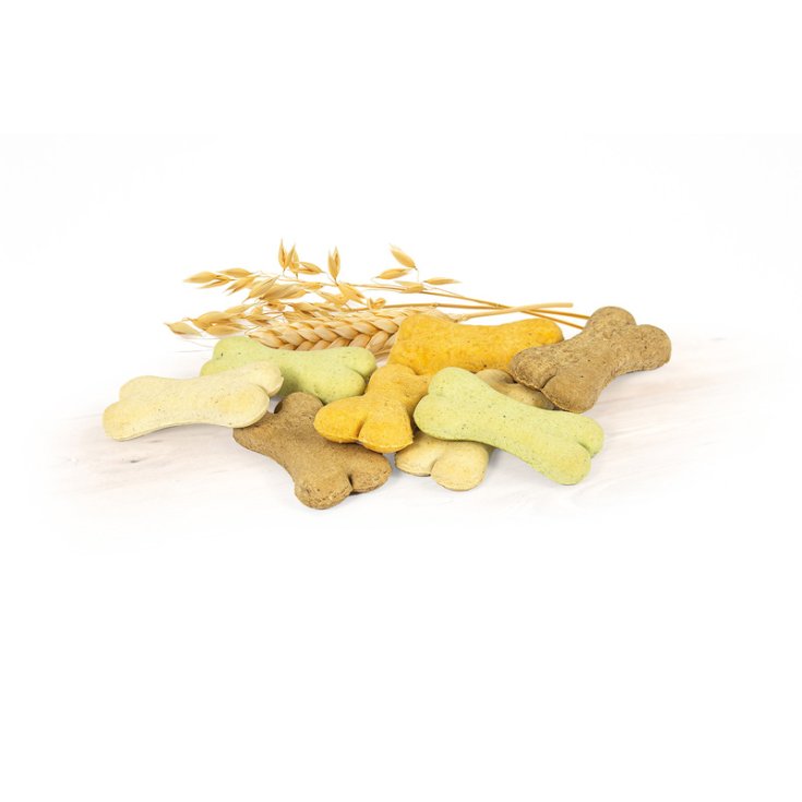 RECORD BISCODOG BISCOTTI CANE MIX BABY 1