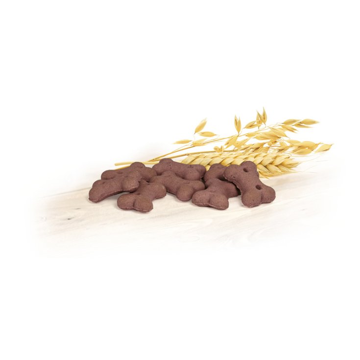 RECORD BISCODOG BISCOTTI CANE OSSETTI AL
