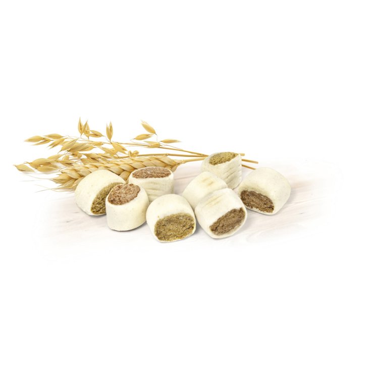 RECORD BISCODOG BISCOTTI CANE ROLLIES 10