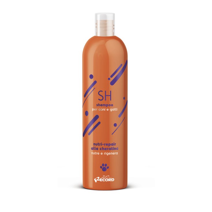RECORD BIO SH CAMOMILLA 250ML