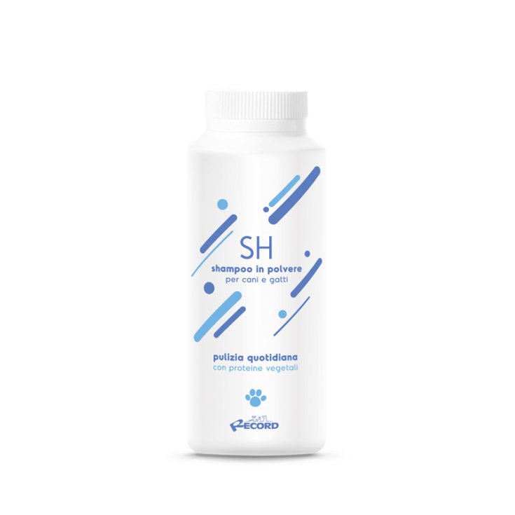 RECORD PROFESSIONAL SHAMPOO SECCO IN POL