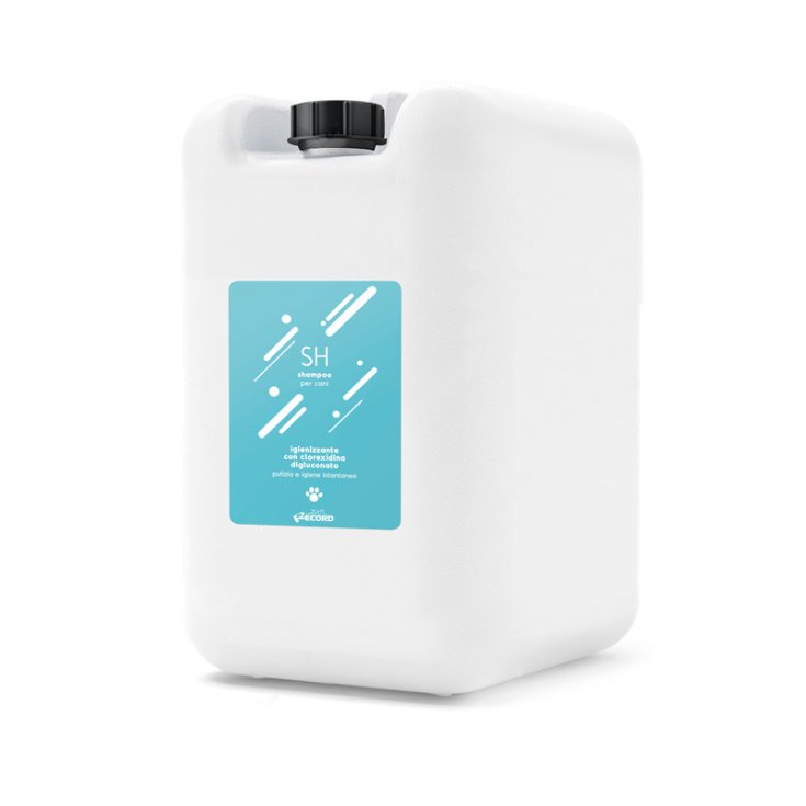 RECORD PURE SHAMPOO 0,8% CLOREXIDINA DIG