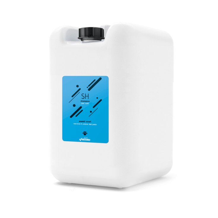 RECORD COLOUR SPECIALIST SHAMPOO MANTI S