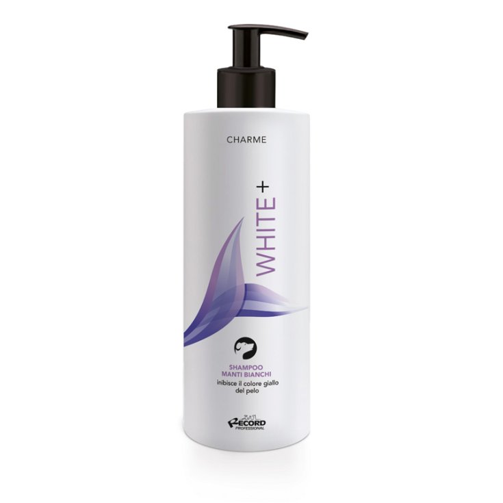 RECORD CHARME SHAMPOO 1 L WHITE+
