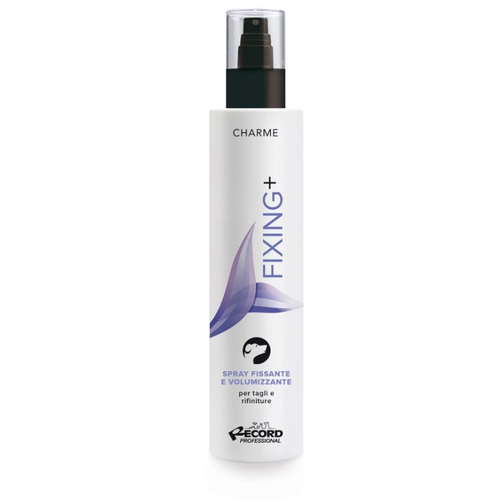 RECORD CHARME FIXING+ LOZIONE PELO SPRAY