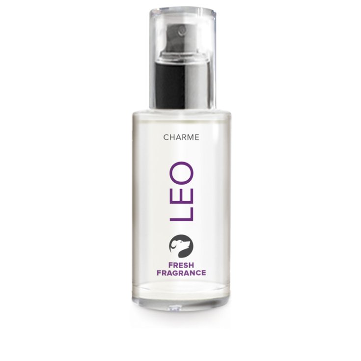 RECORD CHARME PROFUMO FRESCO 0,05 L LEO