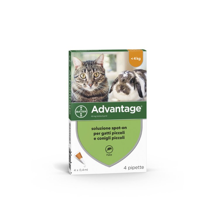 Advantage Spot On Gatti/Conigli - 4X40 mg | 4 x 0,4ML