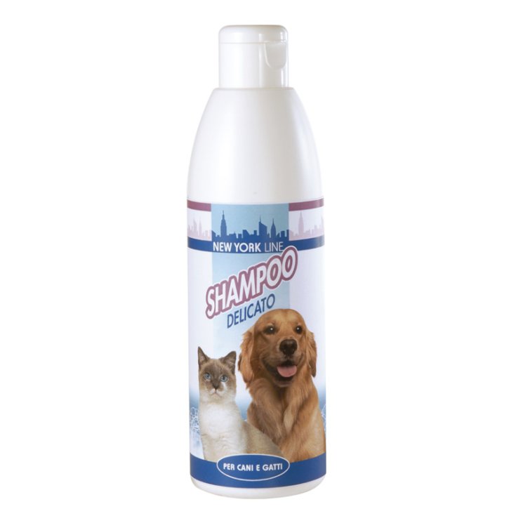 RECORD NEW YORK SHAMPOO 0,25 L DELICATO