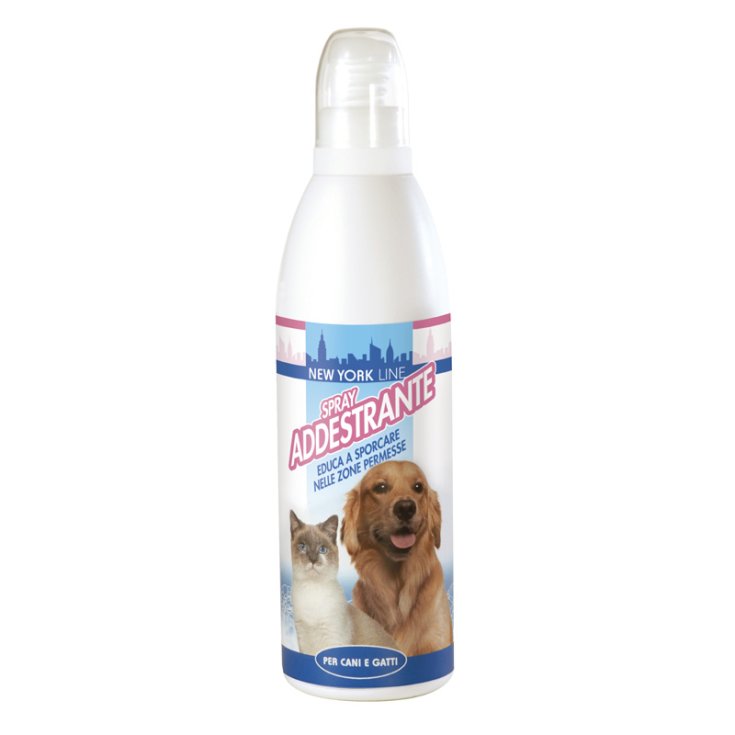 LINEA YORK ATTRATTIVO 250ML