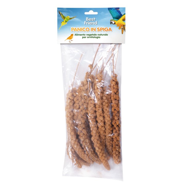 BEST FRIEND PANICO IN SPIGA 250 G