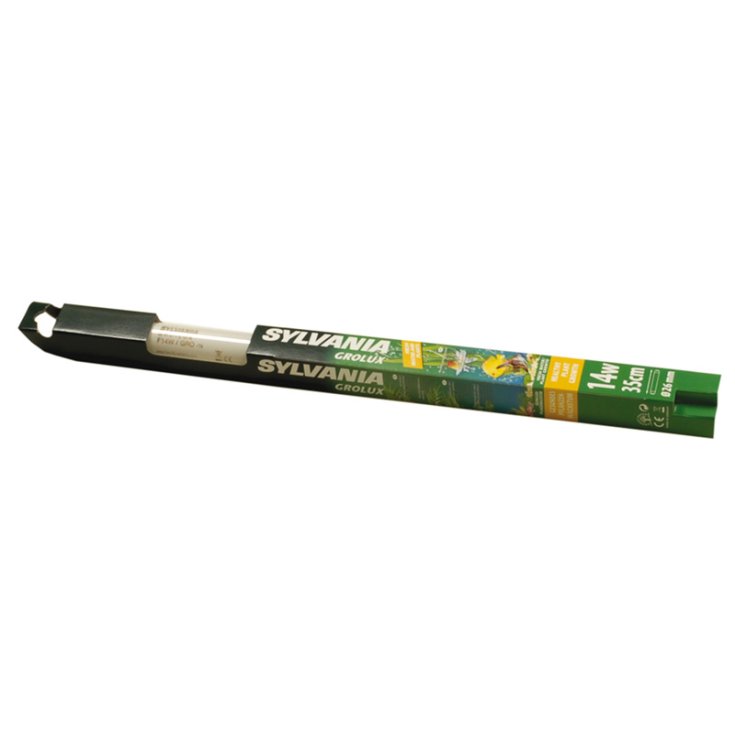 ACQUAFRIEND LAMPADA GROLUX NATURALE