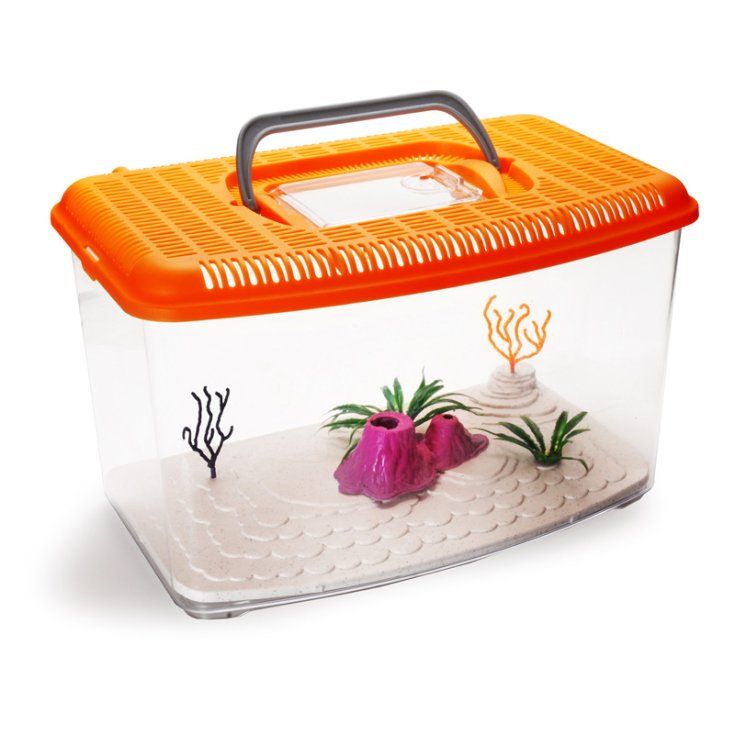 ACQUAFRIEND TRASPORTINO ACQUARIO CON DEC