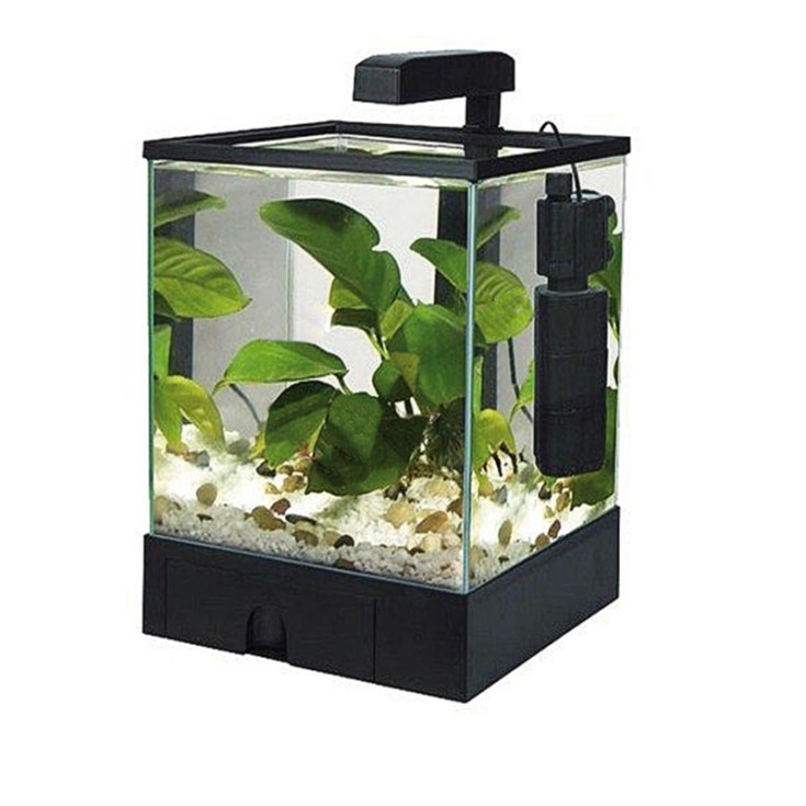 ACQUAFRIEND AQUABOX ACQUARIO CON LUCE E