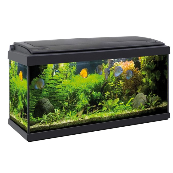 ACQUAFRIEND ACQUARIO FULLVISION LED 80X3
