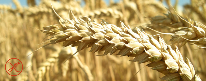 Prodotti senza glutine per celiachia